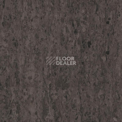 Линолеум Tarkett iq Optima DARK BROWN 0900 фото 1 | FLOORDEALER